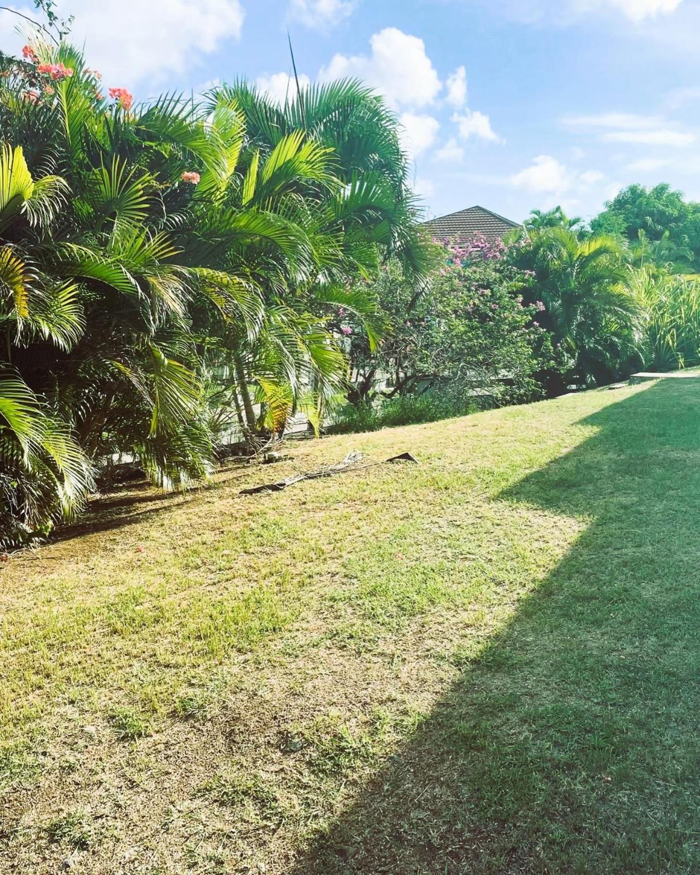Villa Caraibes サント・リュス エクステリア 写真