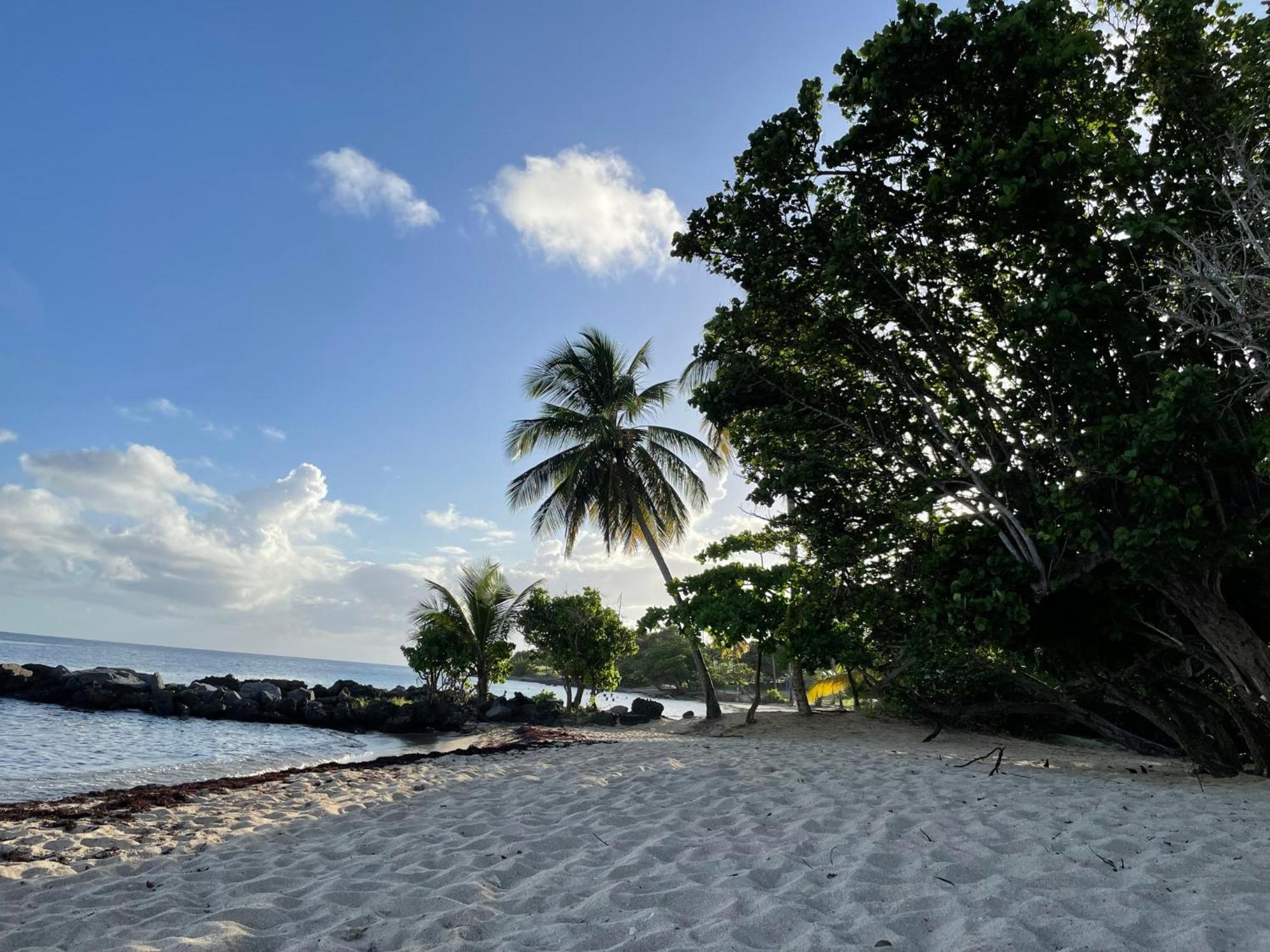 Villa Caraibes サント・リュス エクステリア 写真